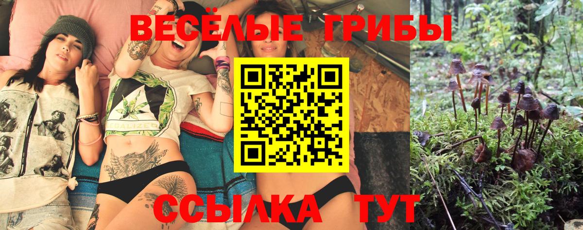 Псилоцибиновые грибы Magic Shrooms Коломна