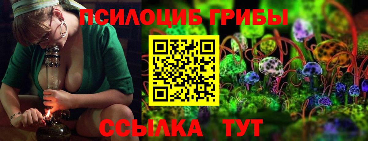 Коломна  Псилоцибиновые грибы Cubensis  Вход с VPN 